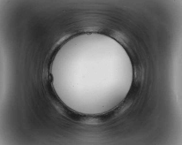 X0000086340348200704202105