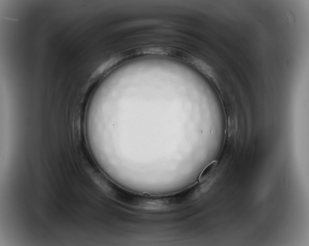 X0000086340349200704202105