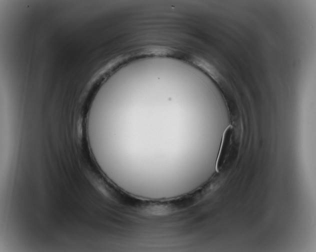 X0000086340350200704202105