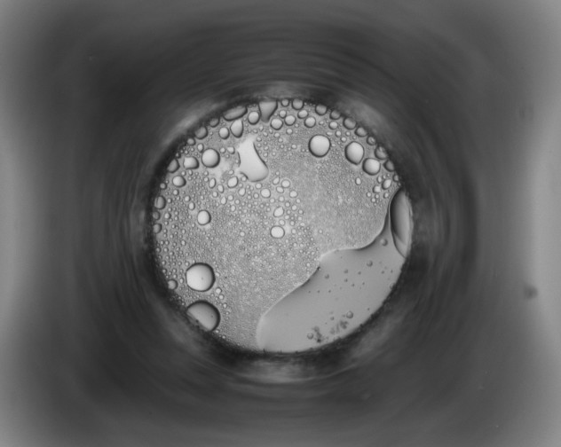 X0000086340351200704202106