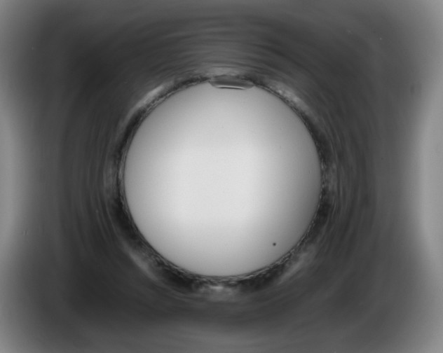 X0000086340352200704202106