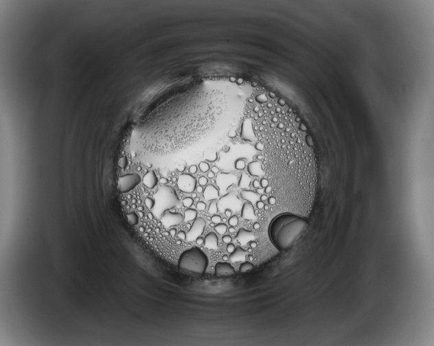 X0000086340353200704202106