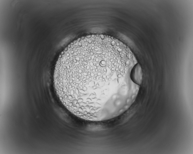 X0000086340354200704202106