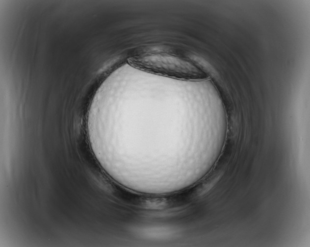 X0000086340355200704202106