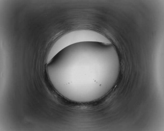 X0000086340356200704202106