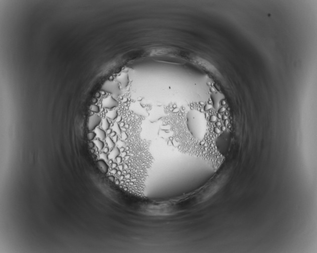 X0000086340357200704202106