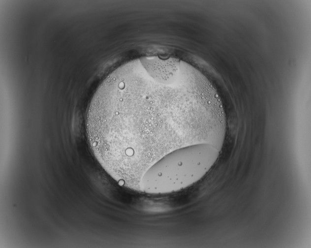 X0000086340359200704202106