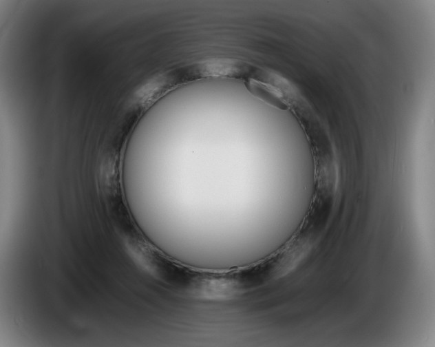 X0000086340360200704202106