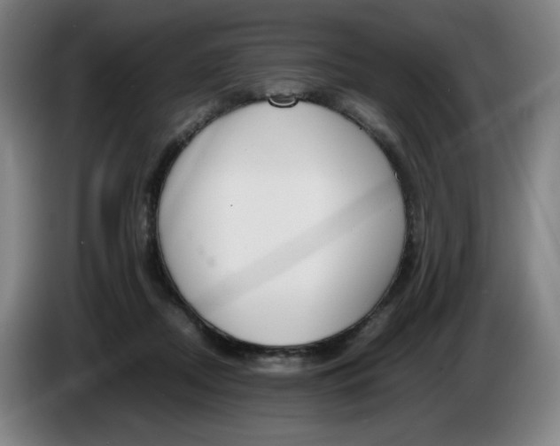 X0000086340362200704202106