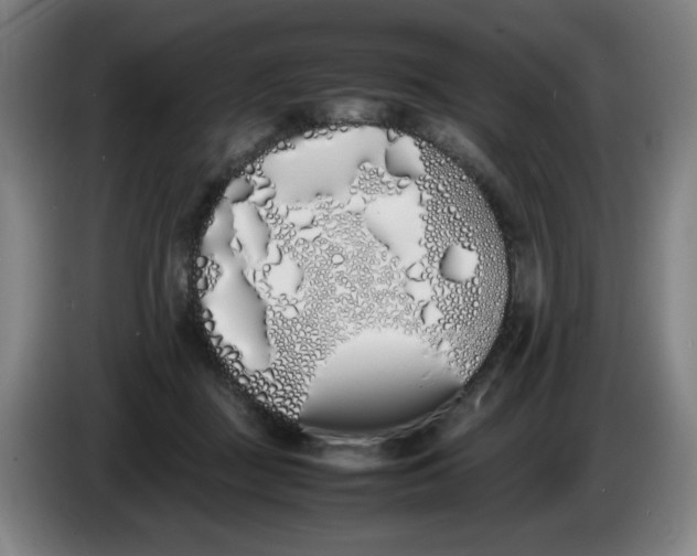 X0000086340363200704202106