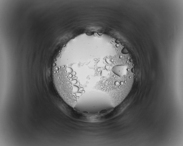 X0000086340365200704202106
