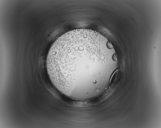 X0000086340366200704202106