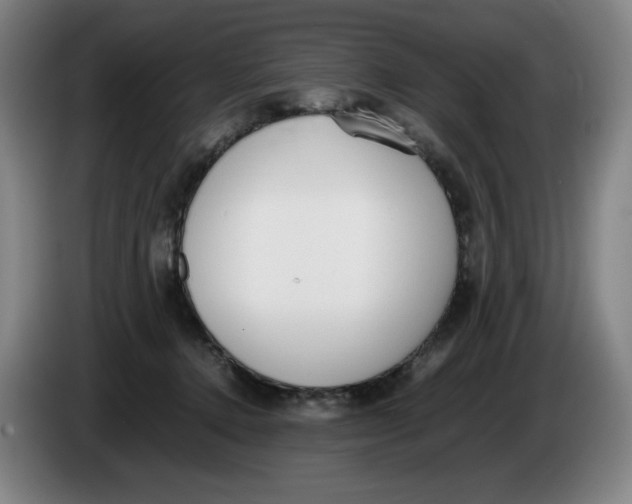 X0000086340368200704202106