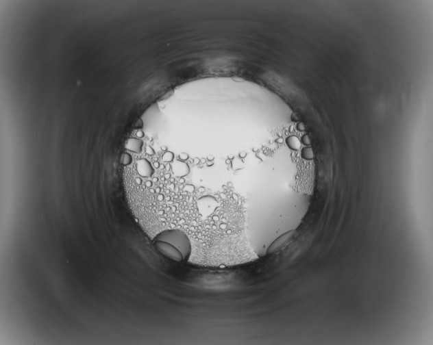 X0000086340369200704202106