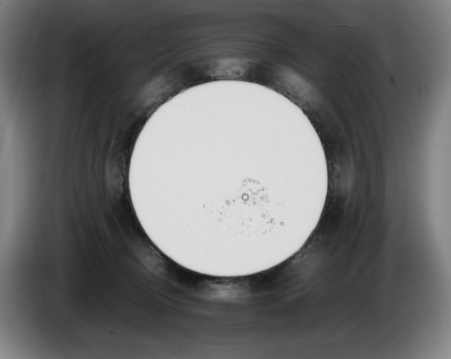 X0000086340370200704202106