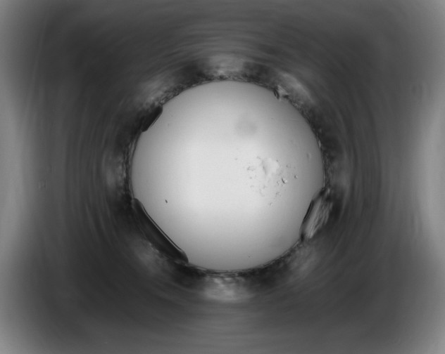 X0000086340372200704202106