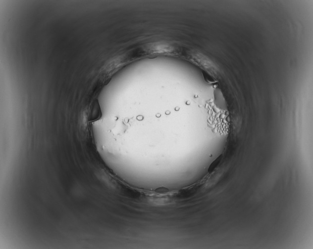 X0000086340373200704202106