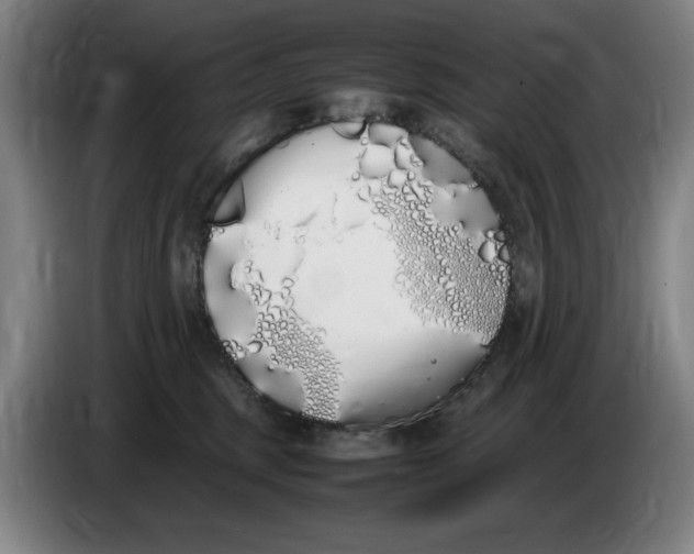X0000086340375200704202106