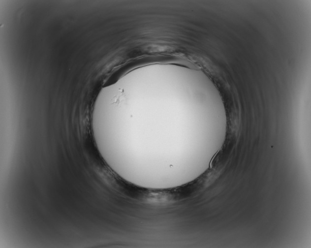 X0000086340376200704202106