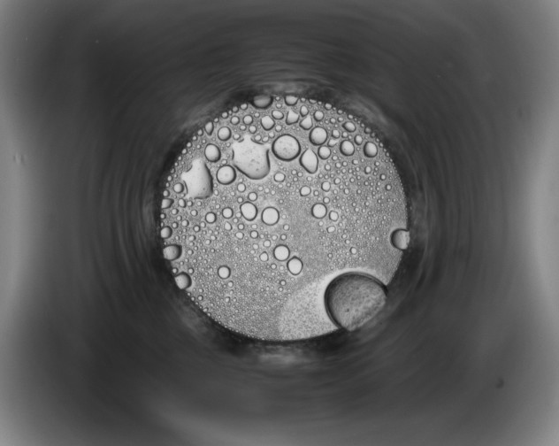 X0000086340377200704202106