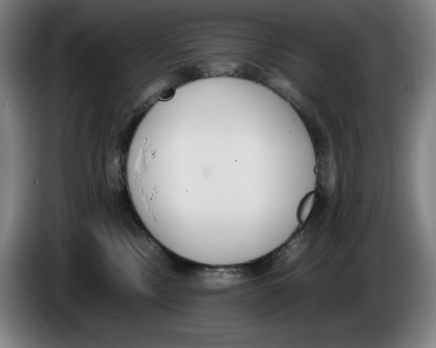 X0000086340378200704202106