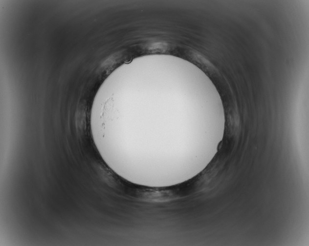 X0000086340379200704202106