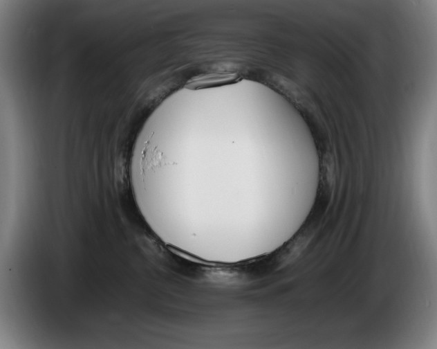 X0000086340380200704202106