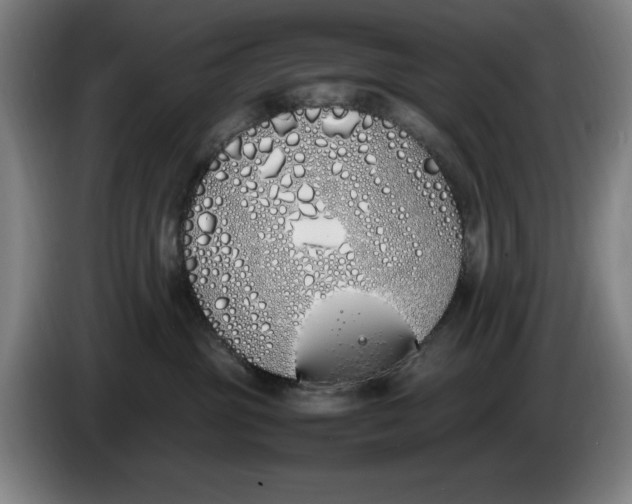 X0000086340381200704202106