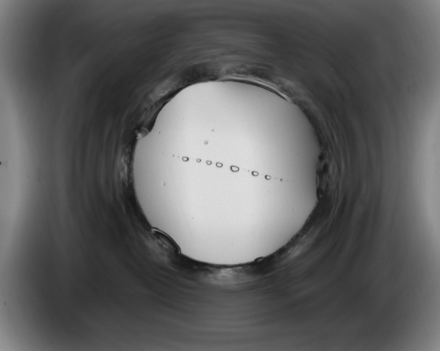 X0000086340382200704202106