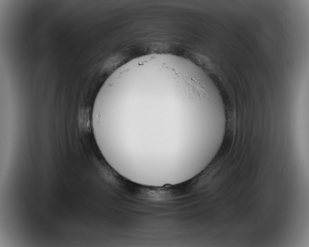X0000086340383200704202106