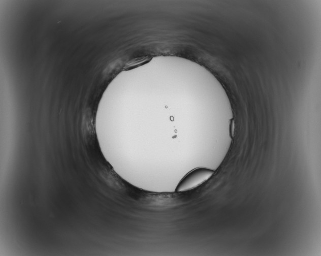 X0000086340384200704202106