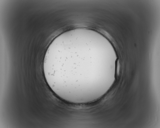 X0000086340385200704202105