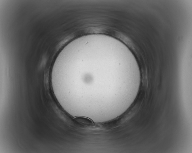 X0000086340386200704202105