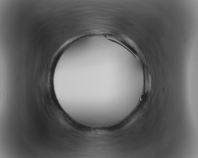 X0000086340387200704202105