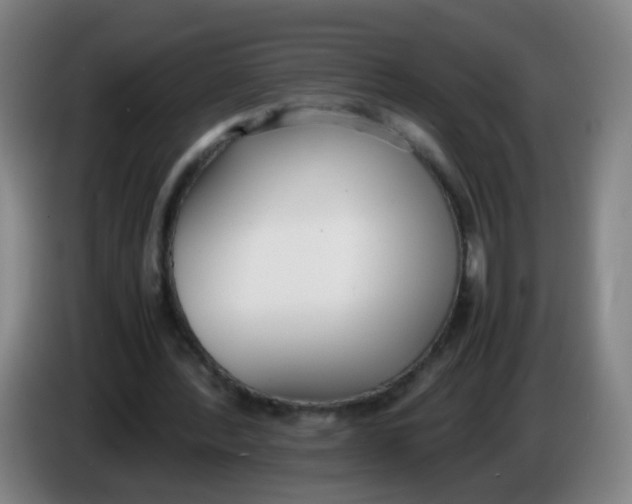 X0000086340388200704202105