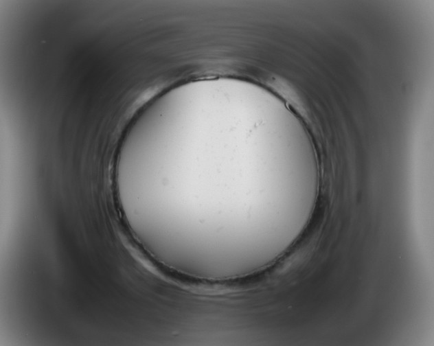 X0000086340389200704202105