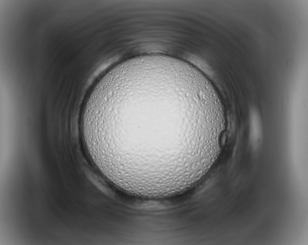 X0000086340390200704202105
