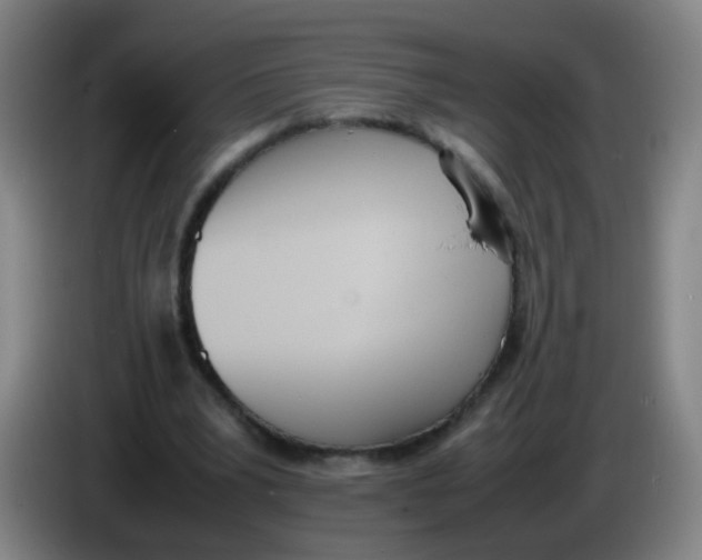 X0000086340391200704202105