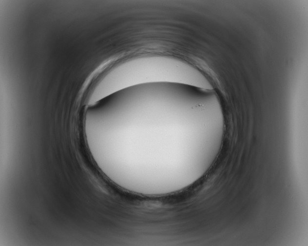 X0000086340392200704202105