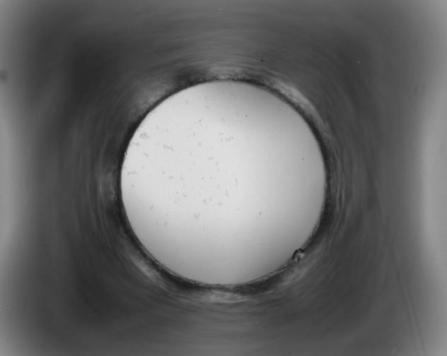 X0000086340393200704202105