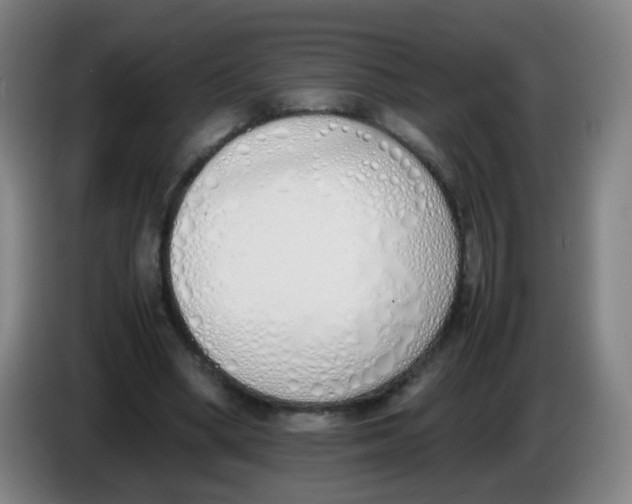 X0000086340394200704202105