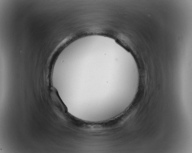 X0000086340395200704202105