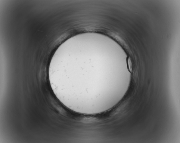 X0000086340397200704202105