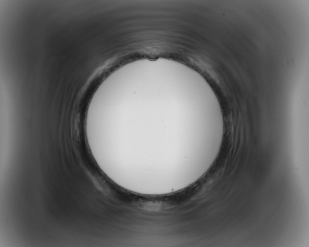 X0000086340400200704202105