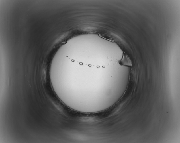 X0000086340404200704202105