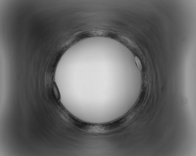 X0000086340409200704202105