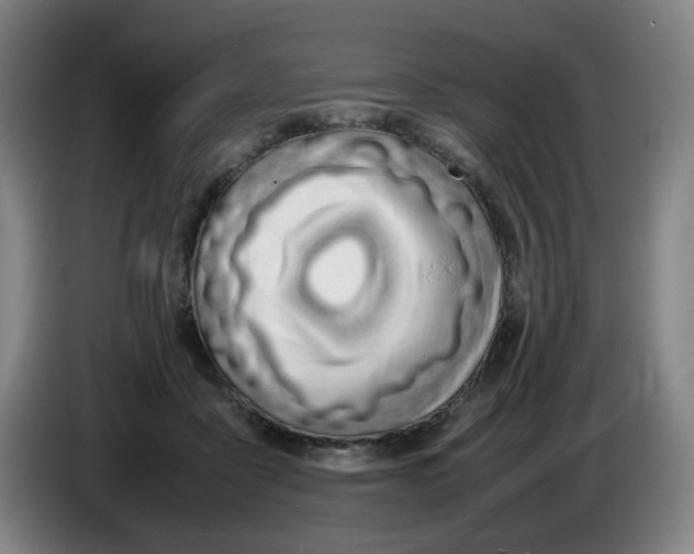 X0000086340411200704202105
