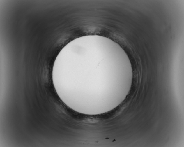 X0000086340416200704202105