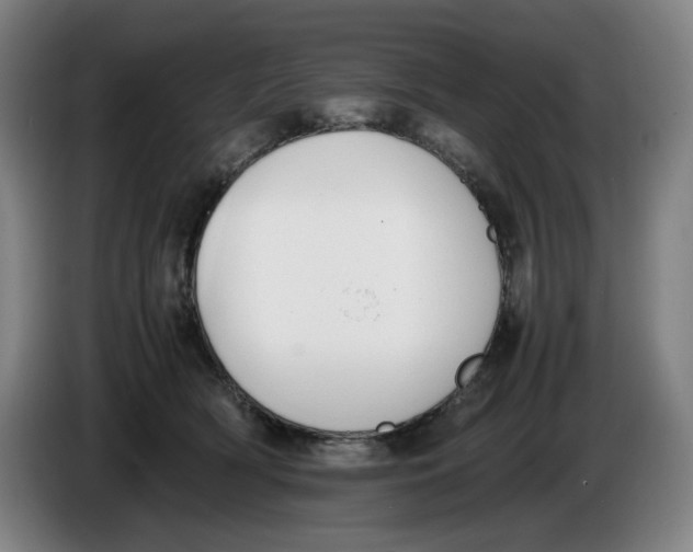 X0000086340418200704202105