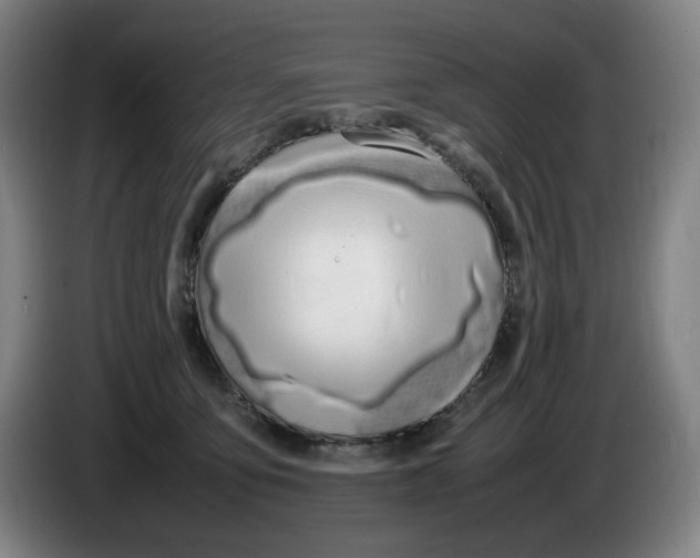 X0000086340419200704202105